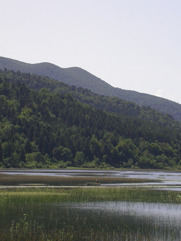 Cerknisko Jezero periodical lake 6.JPG